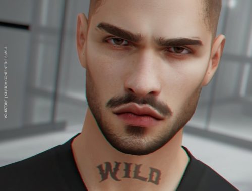 Hair Base N37 | (free)