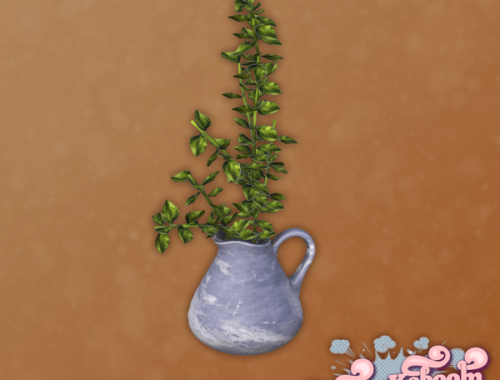 Wedine - Plant