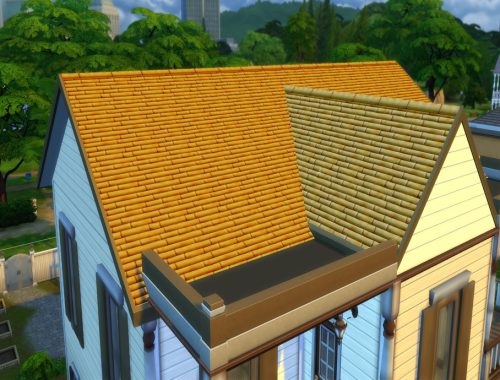 Bamboo Roof