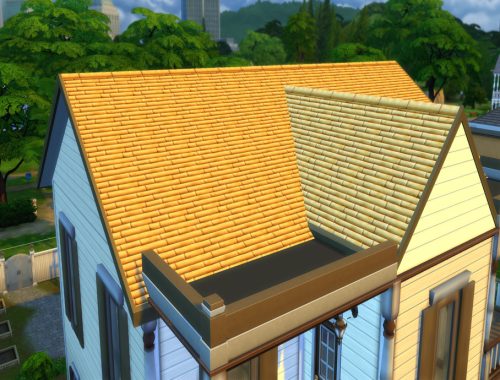 Bamboo Roof