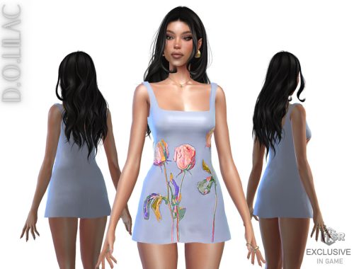 Rose Embroidered Dress