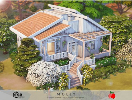 Molly - No Cc