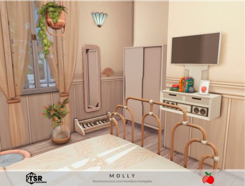 Molly - No Cc