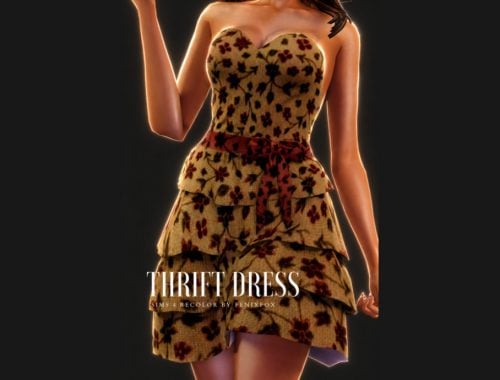 Thrift Dress