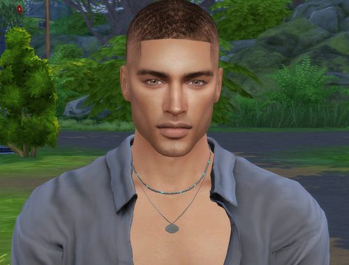 Will Fallon
