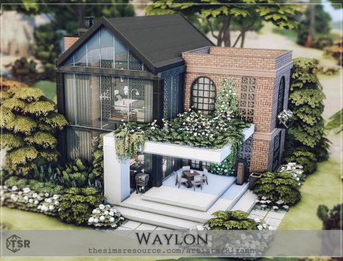 Waylon - No Cc