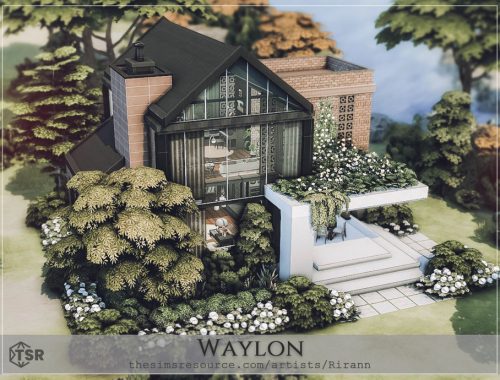 Waylon - No Cc