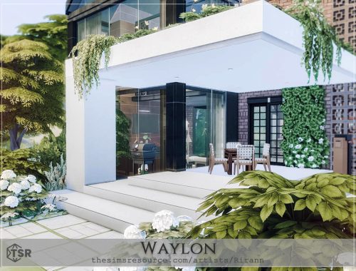 Waylon - No Cc