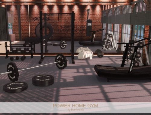 Power Home Gym