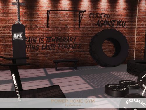 Power Home Gym