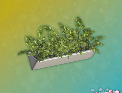 Marabor - Plant 3