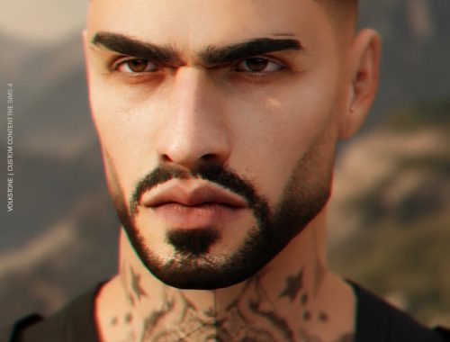 Facial Hair N14 | (free)