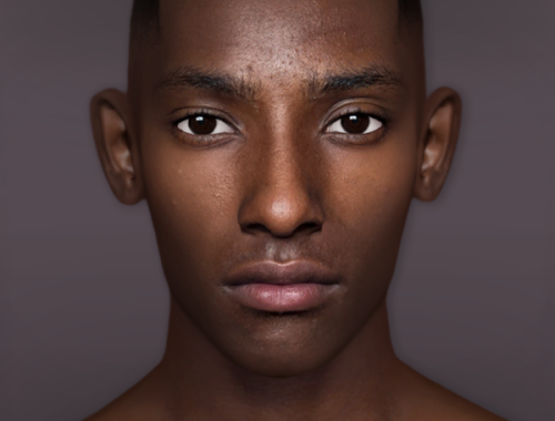 Erman Skin & Sim