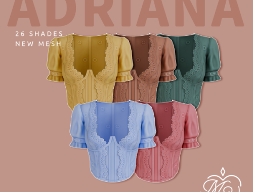 Adriana Top