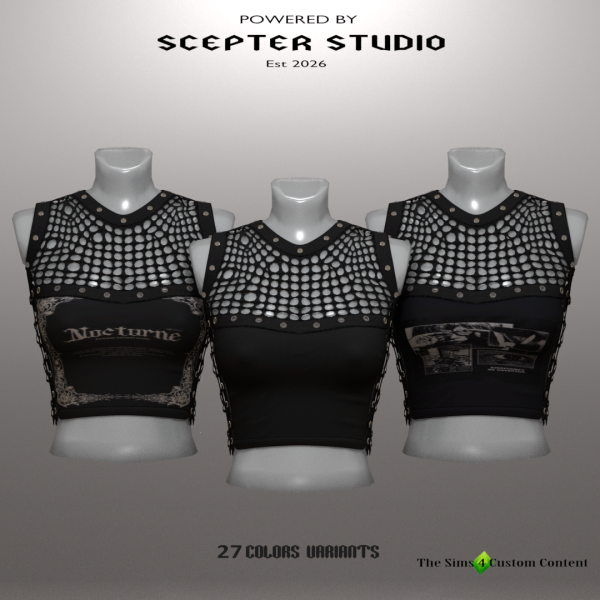 Drussila Fishnet Patchwork Top By Scepter