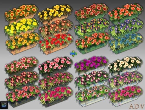 Plant Pots With Flowers