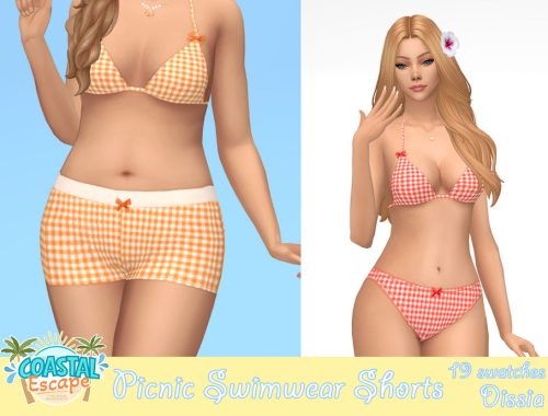 Picnic Swimwear Shorts