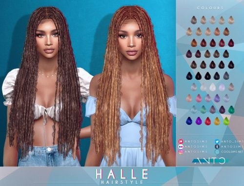 Halle Hairstyle