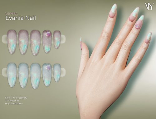Velysea Evania Nail