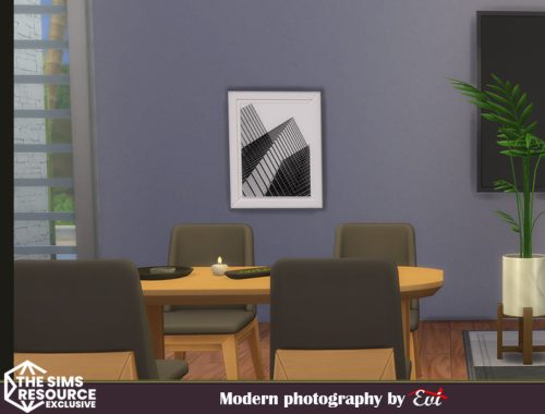Modern Photography