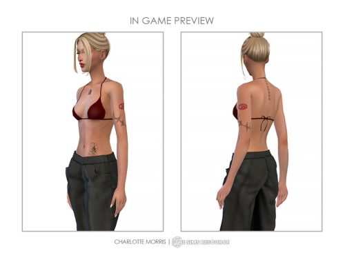 Tattoo Set