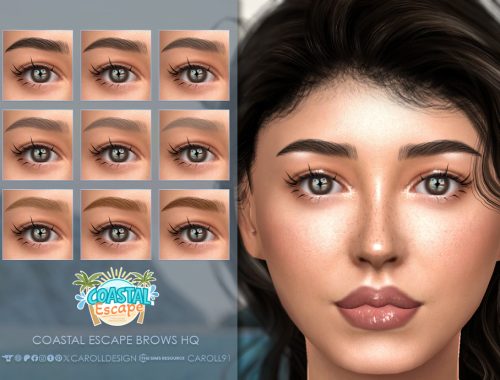Coastal Escape Brows Hq