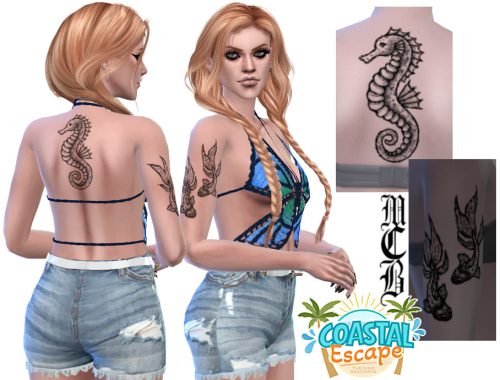 Seahorse Upper Back Tattoo