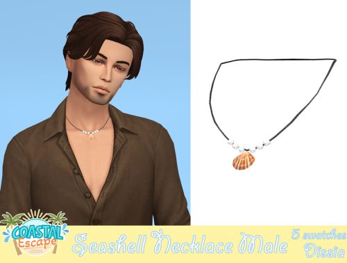 Seashell Necklace Male
