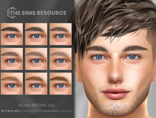 Noah Brows Hq