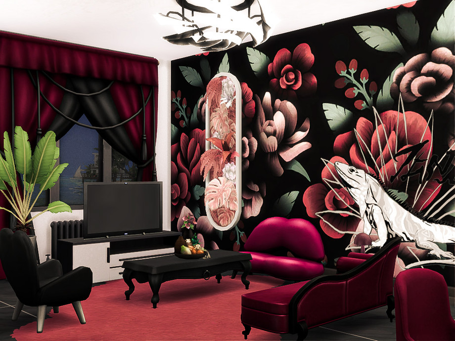 Orchid - Image 6