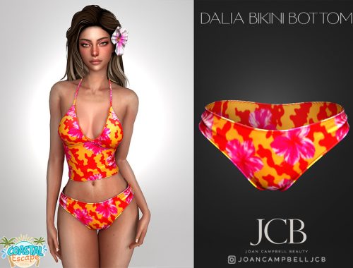 Dalia Top And Bikini Bottom Set