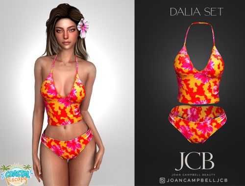 Dalia Top And Bikini Bottom Set