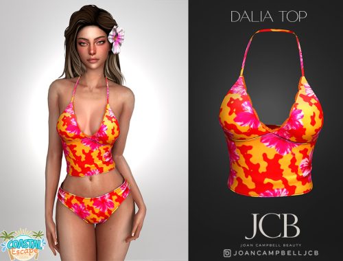 Dalia Top And Bikini Bottom Set