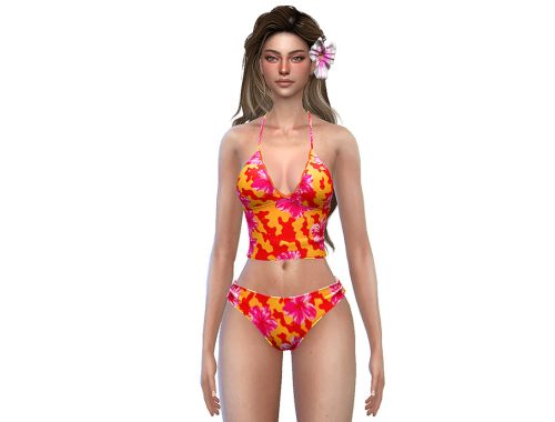 Dalia Top And Bikini Bottom Set