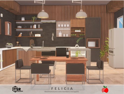 Felicia - Kitchen