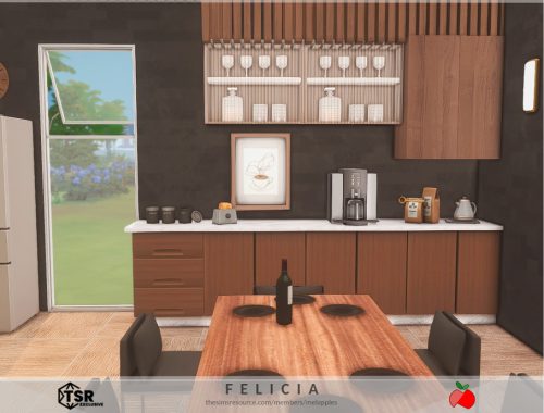 Felicia - Kitchen
