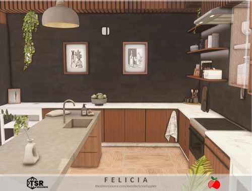 Felicia - Kitchen