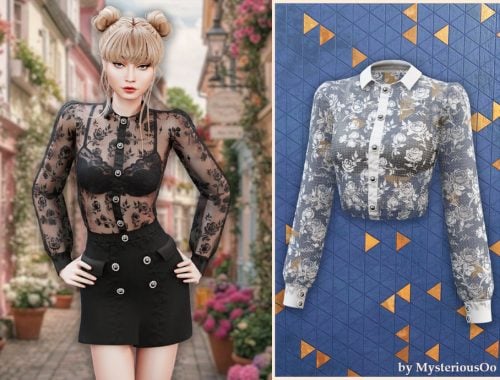 Sheer Lace Button Blouse