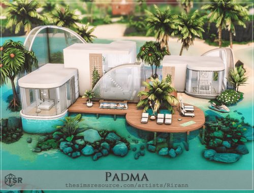 Padma - No Cc