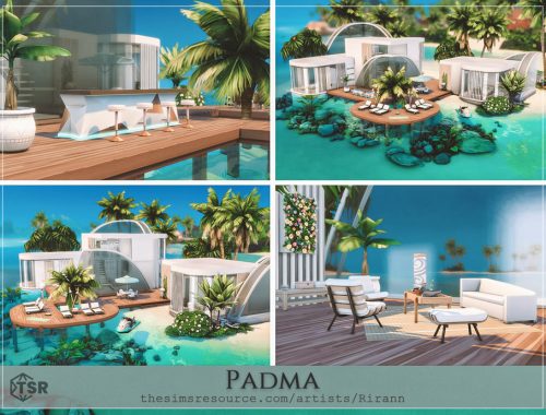 Padma - No Cc