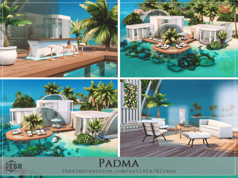 Padma - No Cc - Image 3