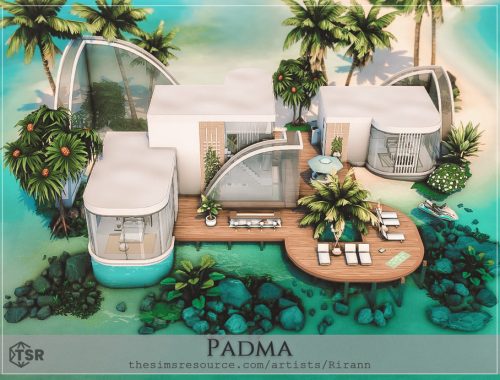 Padma - No Cc