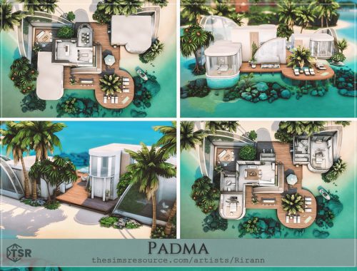 Padma - No Cc
