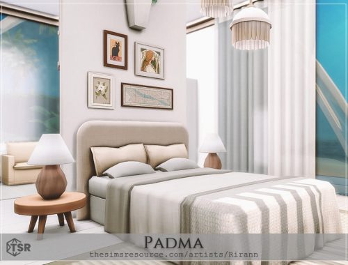 Padma - No Cc