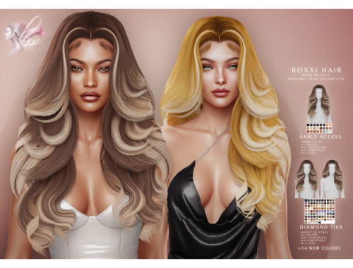 Roxxi Hair