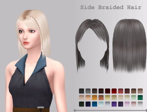 Side Braided Hair