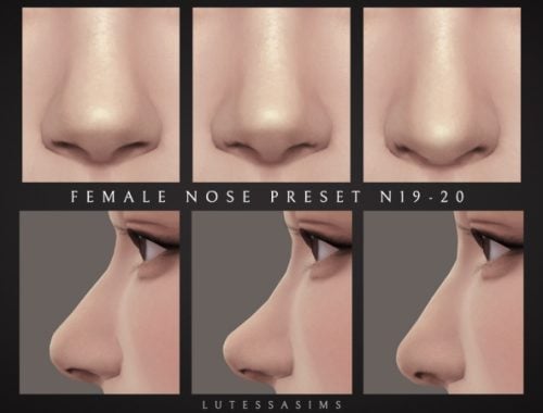 Female Nose Presets N19-21