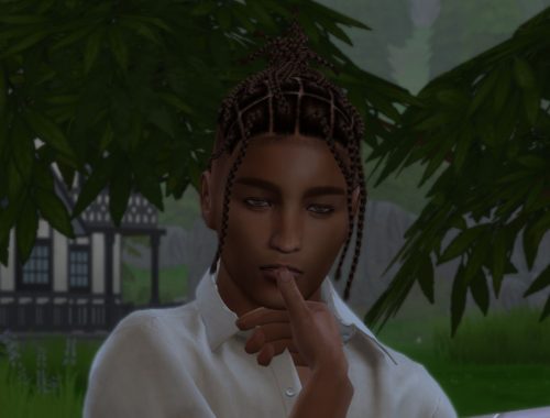 Hendrix Perry