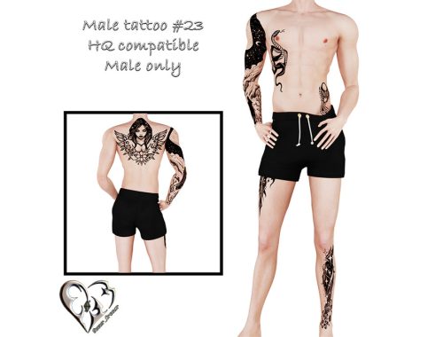 Male Tattoo Xxiii
