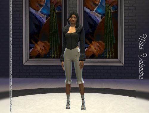 Sabrina Corset Top And Bolero Top With Fur Neck